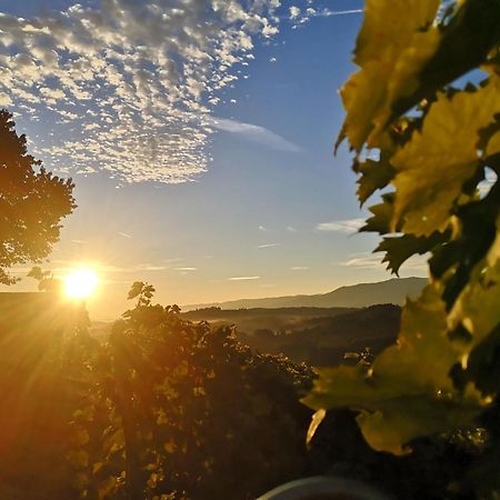 Peiserhof Ferien.Wein.Gut Suedsteiermark Villa Wies Exterior foto