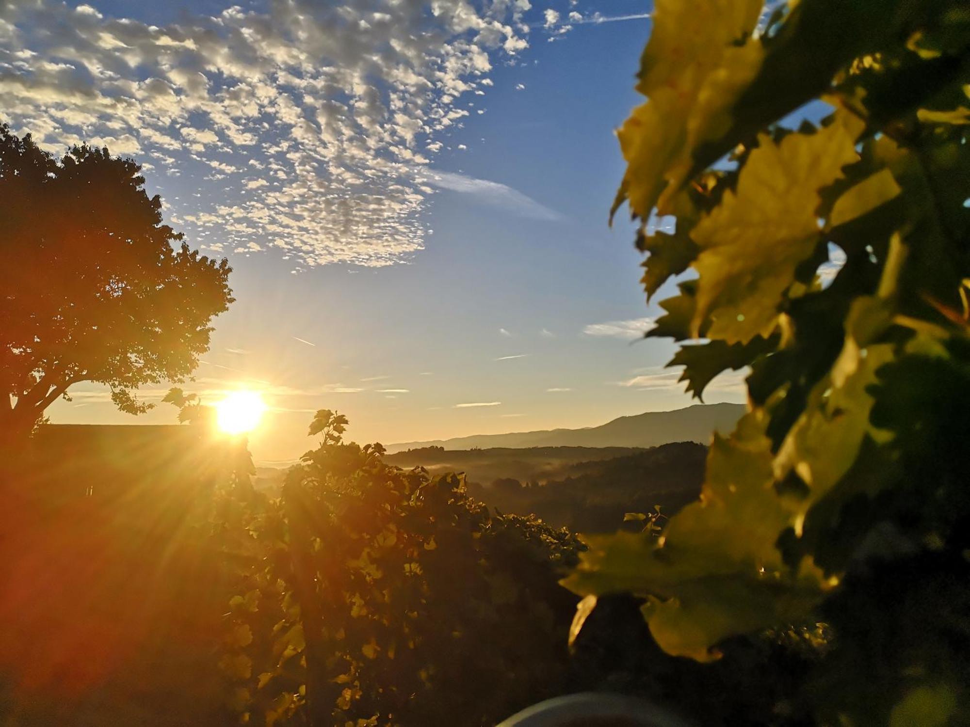 Peiserhof Ferien.Wein.Gut Suedsteiermark Villa Wies Exterior foto